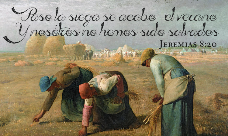 Cosecha, Jeremias 8:20