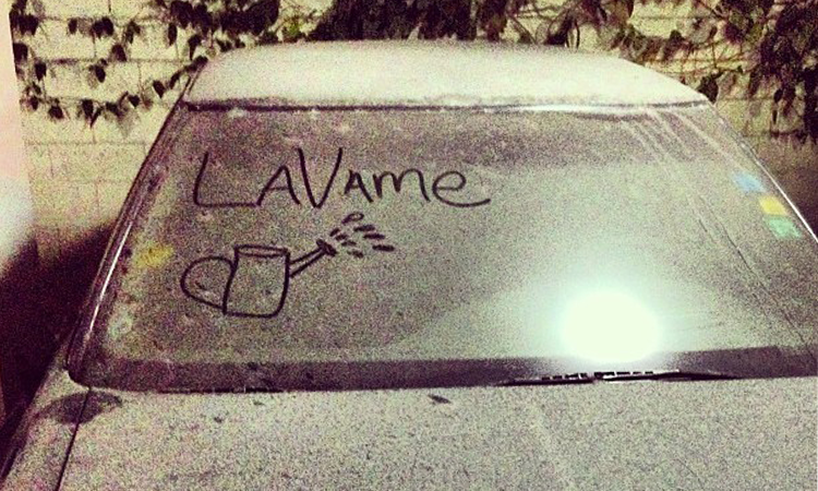 Auto Polvo Lavame